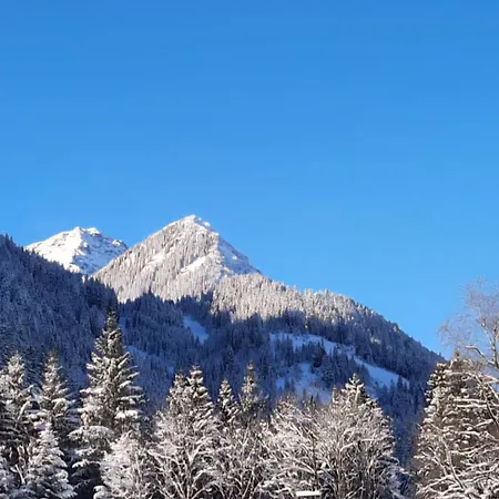 Bleispitze Panorama Daire *