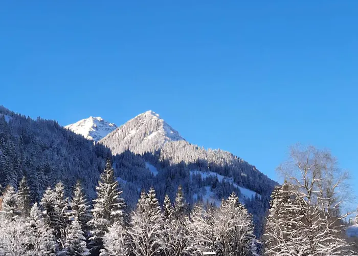 Bleispitze Panorama Апартаменты *