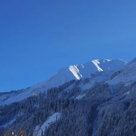 Bleispitze Panorama